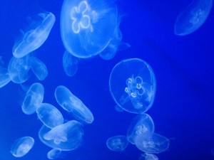 _efbc97efbc98efbc99_