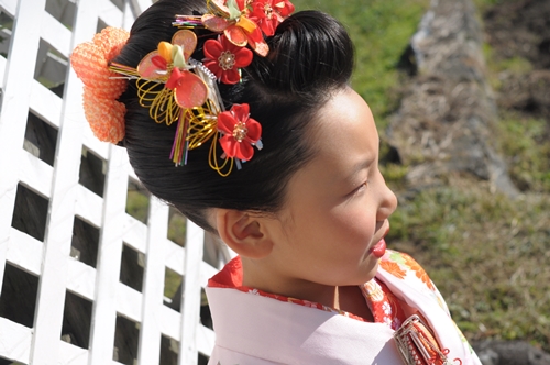 y32013-11-23-_b_780_b-054